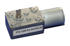 12vdc Electric Motor 6KG-CM 24RPM